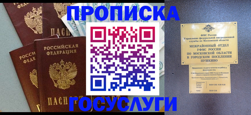 прописка гарантия в Сясьстрое